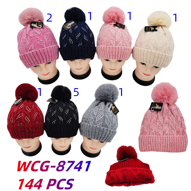 WCG-8741 CS144